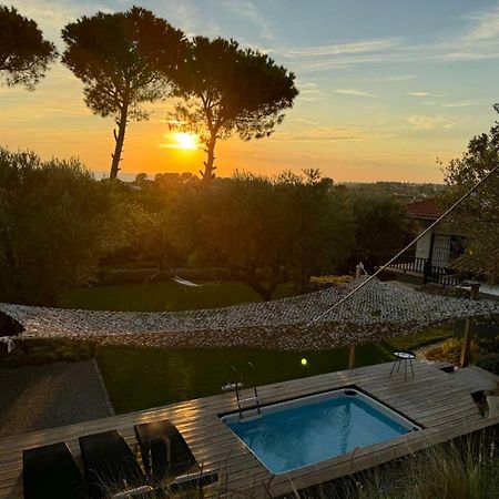 Sea View Villa In Olive Garden Nea Kallikrateia Exteriér fotografie
