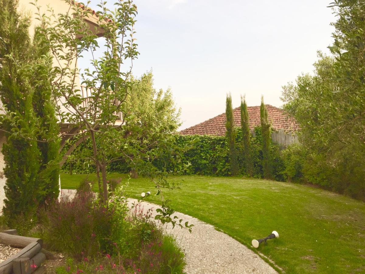 Sea View Villa In Olive Garden Nea Kallikrateia Exteriér fotografie