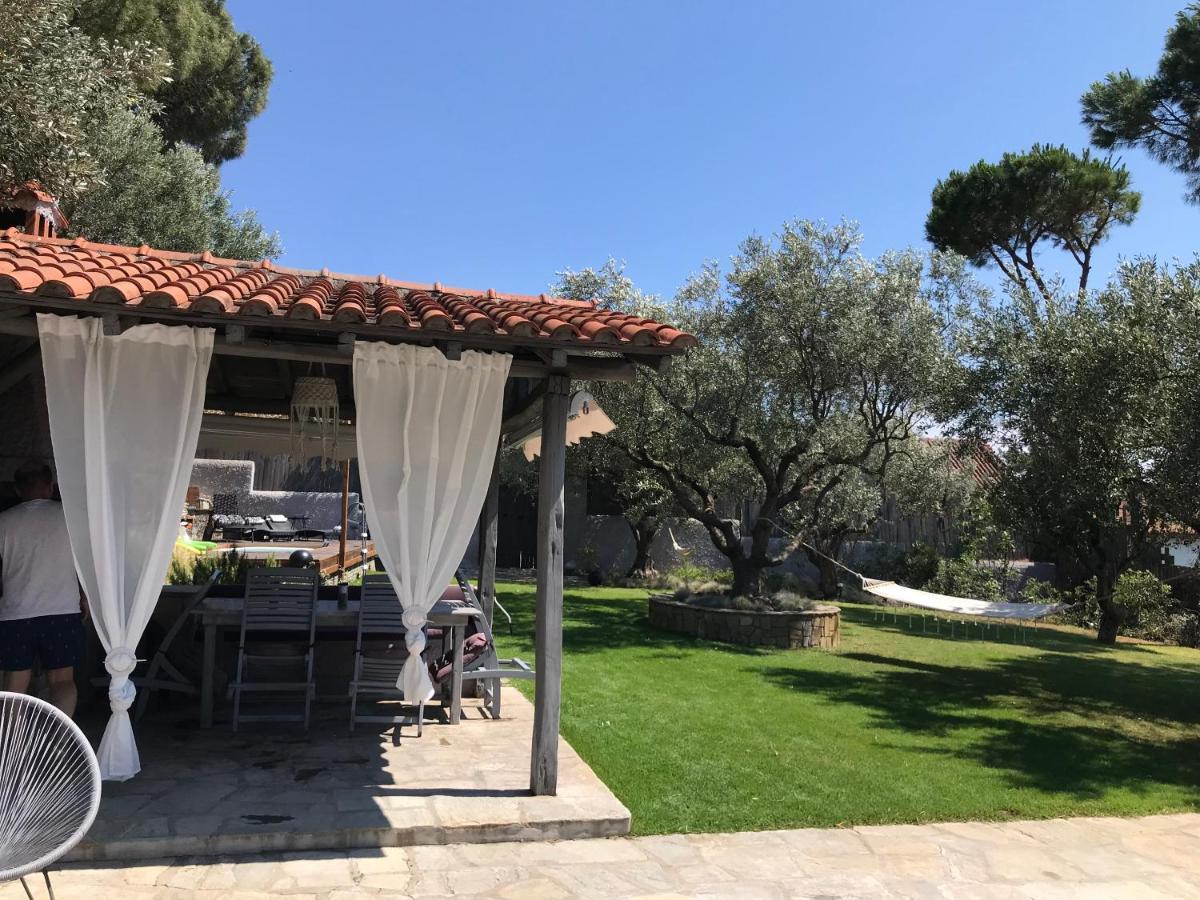 Sea View Villa In Olive Garden Nea Kallikrateia Exteriér fotografie