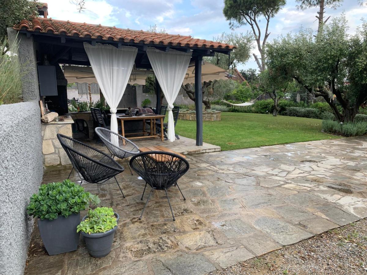 Sea View Villa In Olive Garden Nea Kallikrateia Exteriér fotografie
