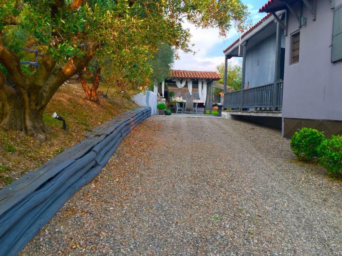 Sea View Villa In Olive Garden Nea Kallikrateia Exteriér fotografie