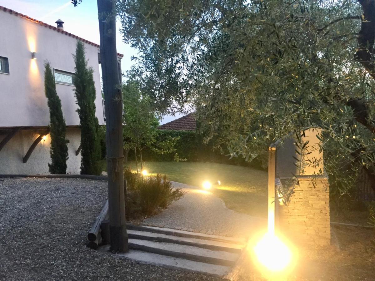 Sea View Villa In Olive Garden Nea Kallikrateia Exteriér fotografie