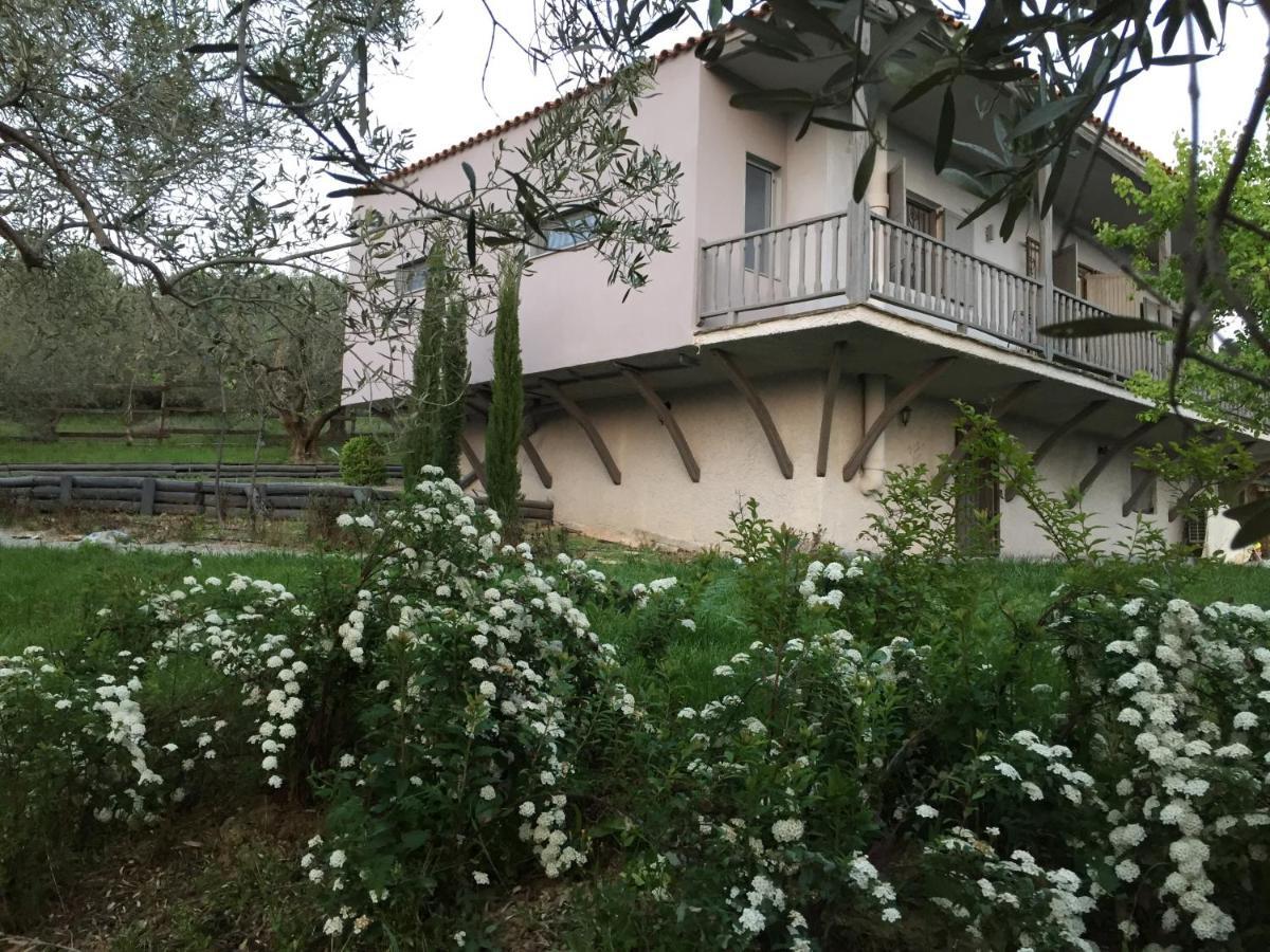 Sea View Villa In Olive Garden Nea Kallikrateia Exteriér fotografie