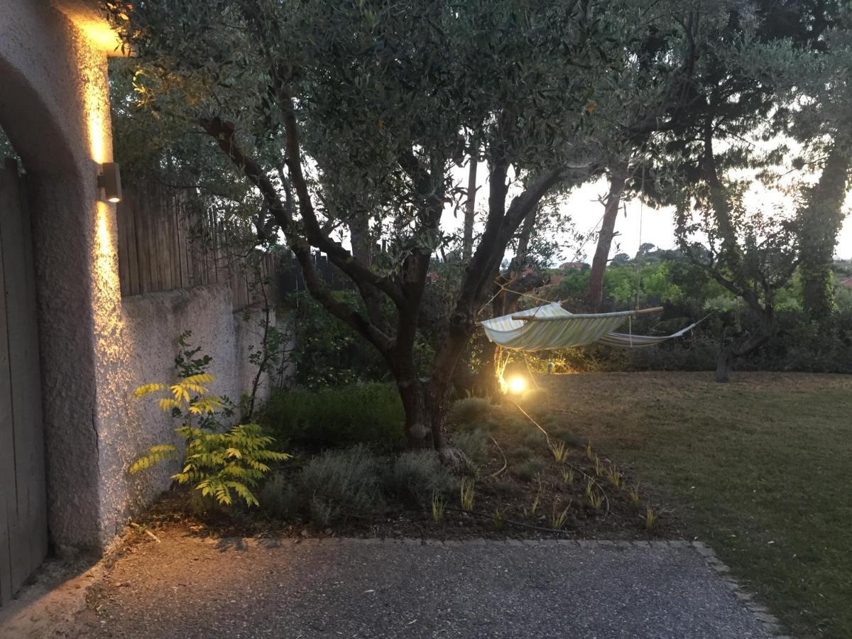 Sea View Villa In Olive Garden Nea Kallikrateia Exteriér fotografie
